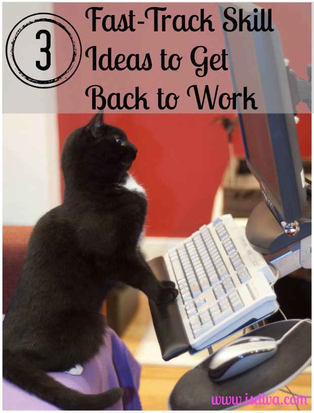 3 Fast Track Skill Ideas to Get Back to Work. Are you looking to get back to work but need to brush up on your skills? Here I have three skill sets you should work on immediately. 